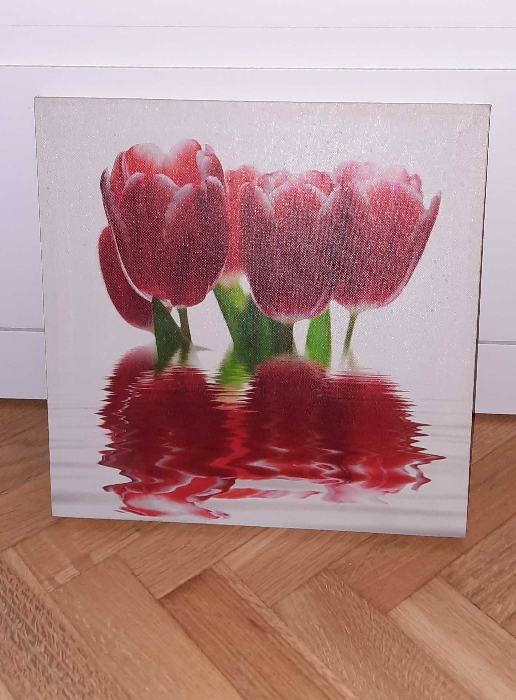 Obraz na ścianę – tulipany wydrukowane na płótnie szt. 3 - komplet