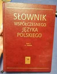 Słownik współczesnego języka polskiego tom. 1