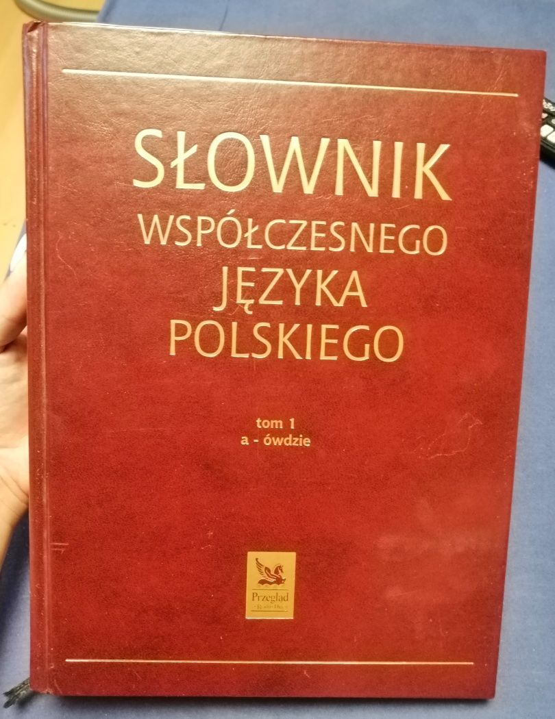 Słownik współczesnego języka polskiego tom. 1
