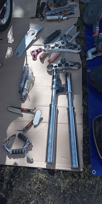 Sprzedam silnik do Rys