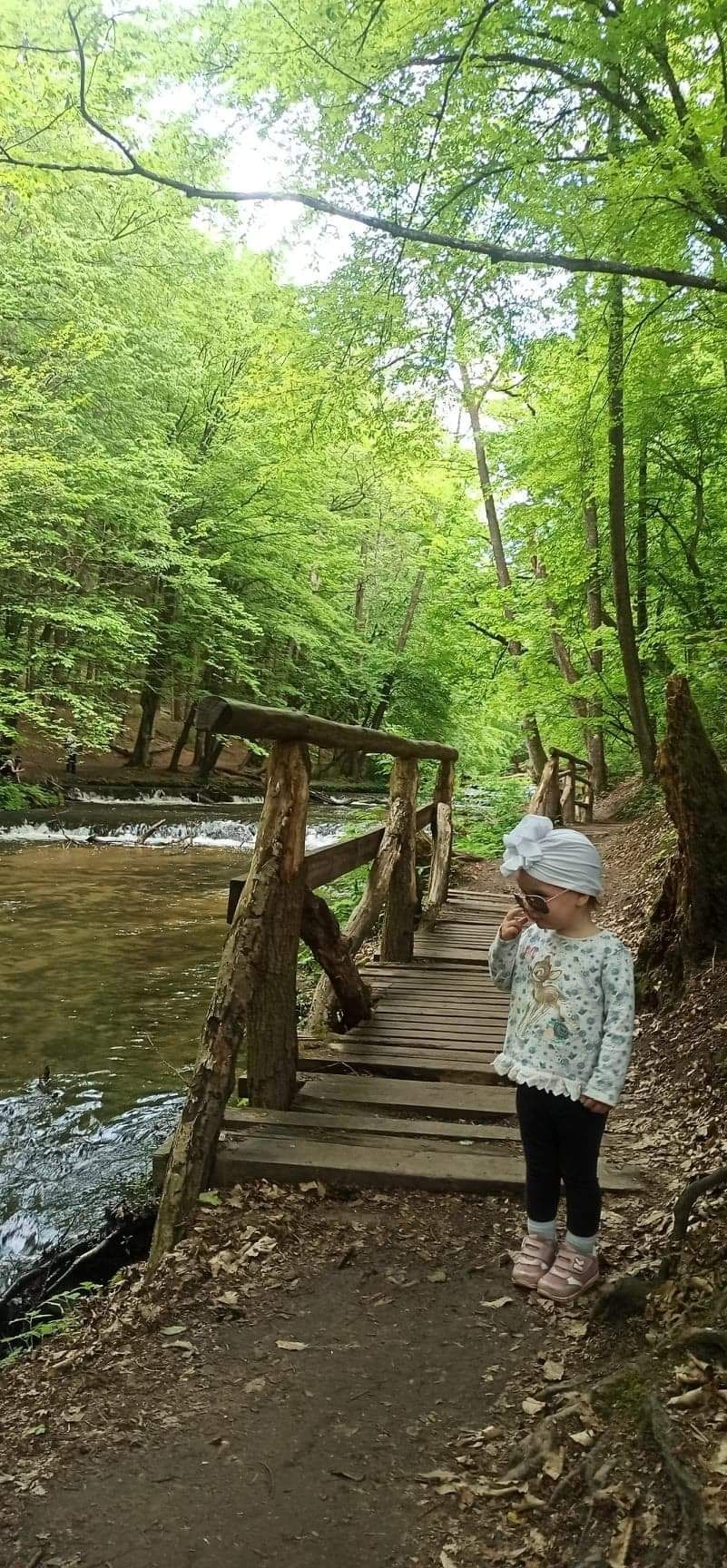 Noclegi w domku na Roztoczu- jacuzzi, las i plaża - Przystanek Roztocz