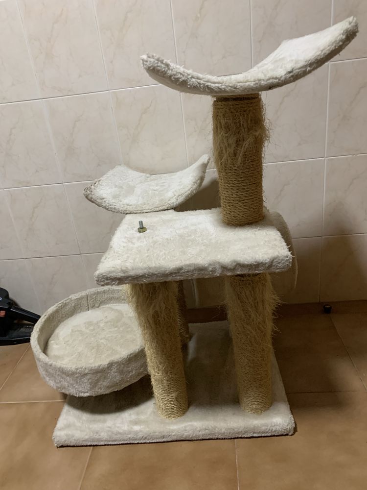 Arranhador gatos