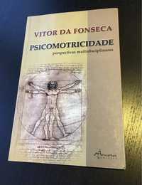 Livro Psicomotricidade Perspectivas Multidisciplinares