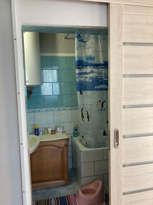 Запсонь подобово