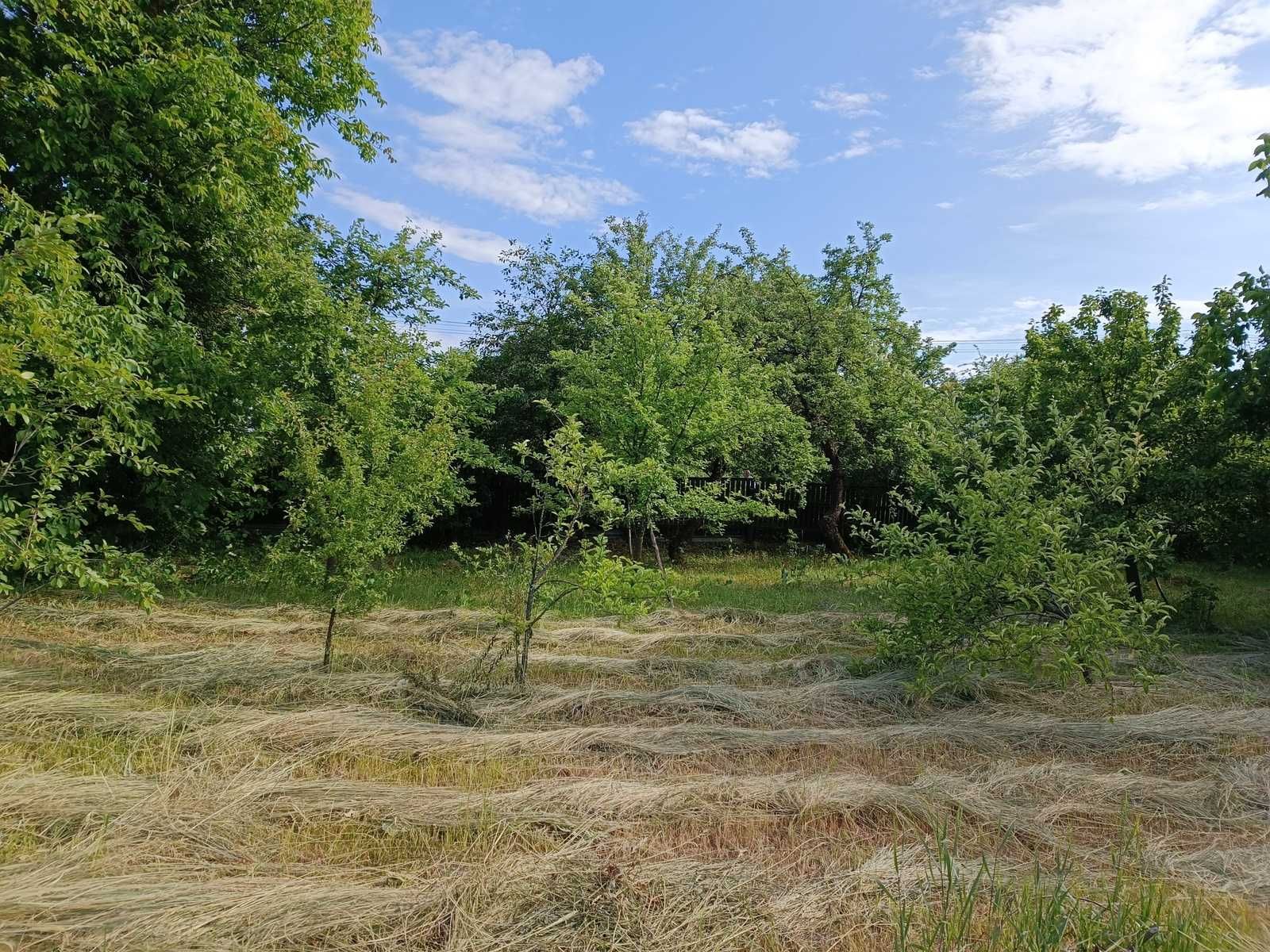 Продаж земельної ділянки у с. Діброва, Бородянський р-н.