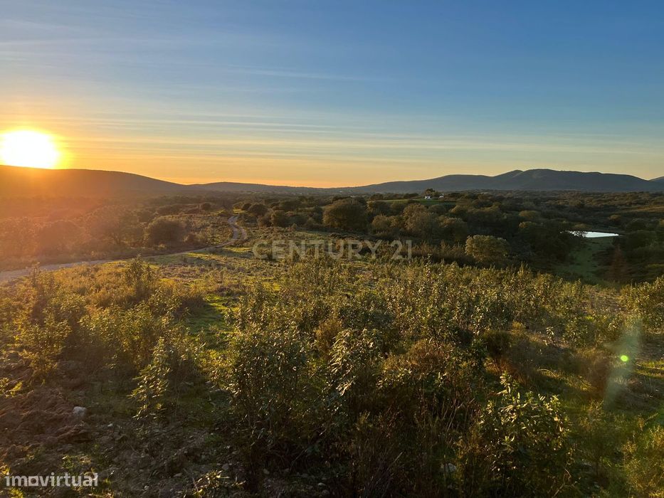 Terreno Montado Sobreiros/Azinheiras , 43 Hectares, Vale de Grou - Sob