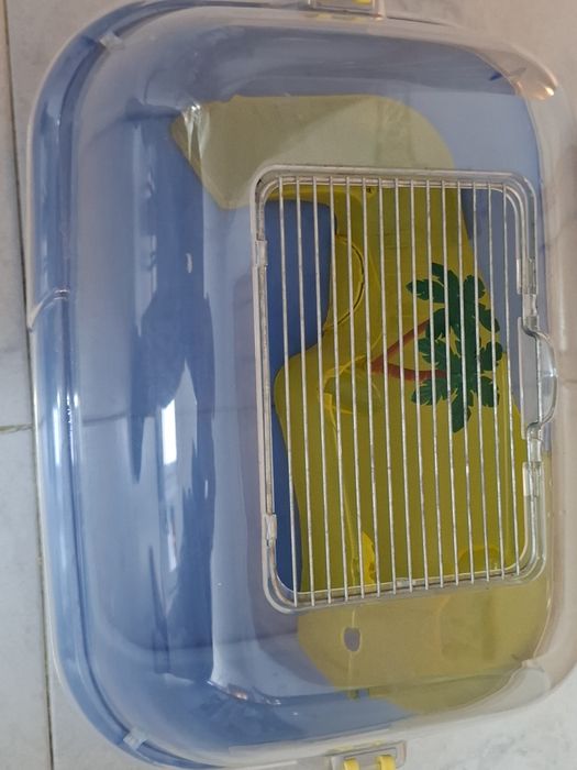 Tartarugueira com tampa