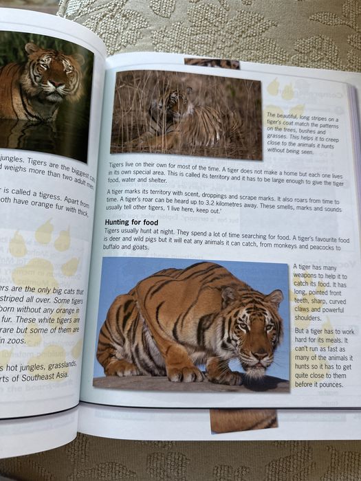 Macmillan english language book