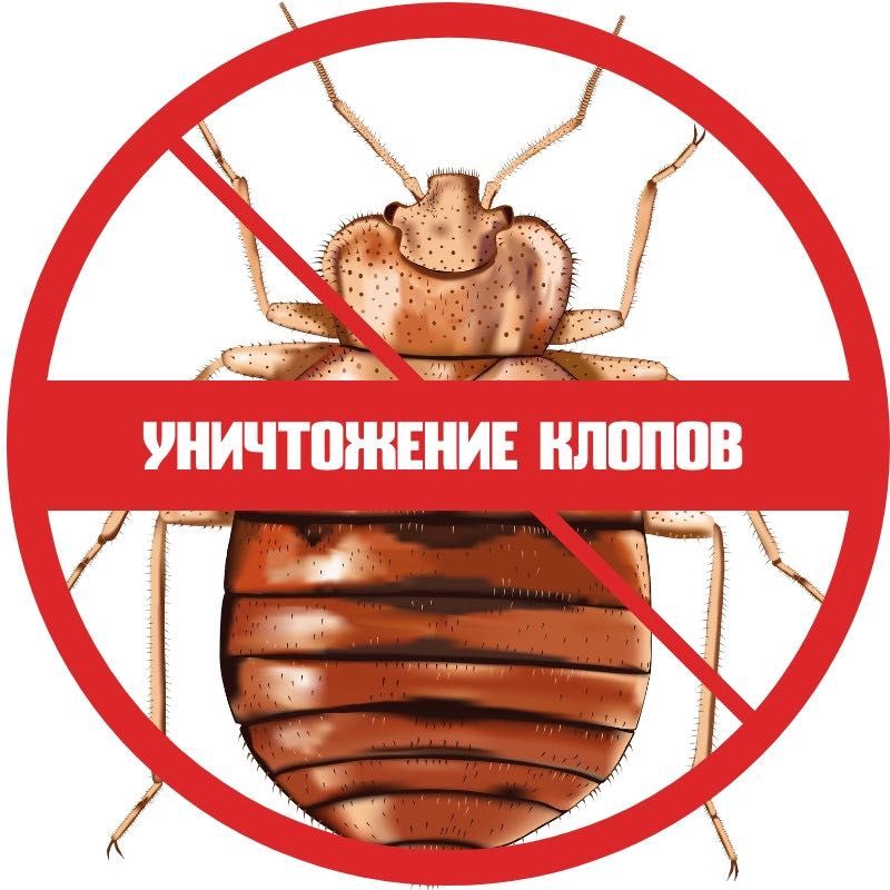 Служба знищення тарганів. клопів. блох. кліщів Уничтожение тараканов