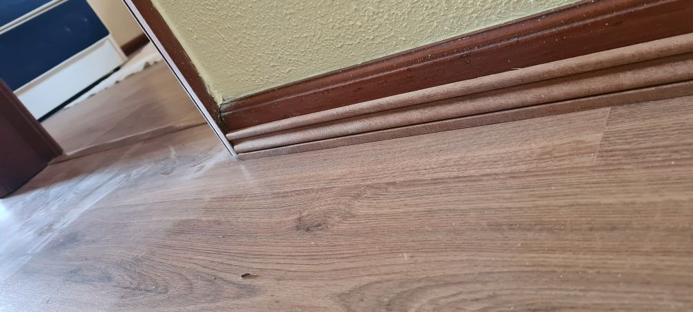 Eu pinto sua casa
