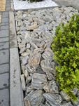 Kora kamienna 63 - 250 mm | Ozdobny kamień | Gabion