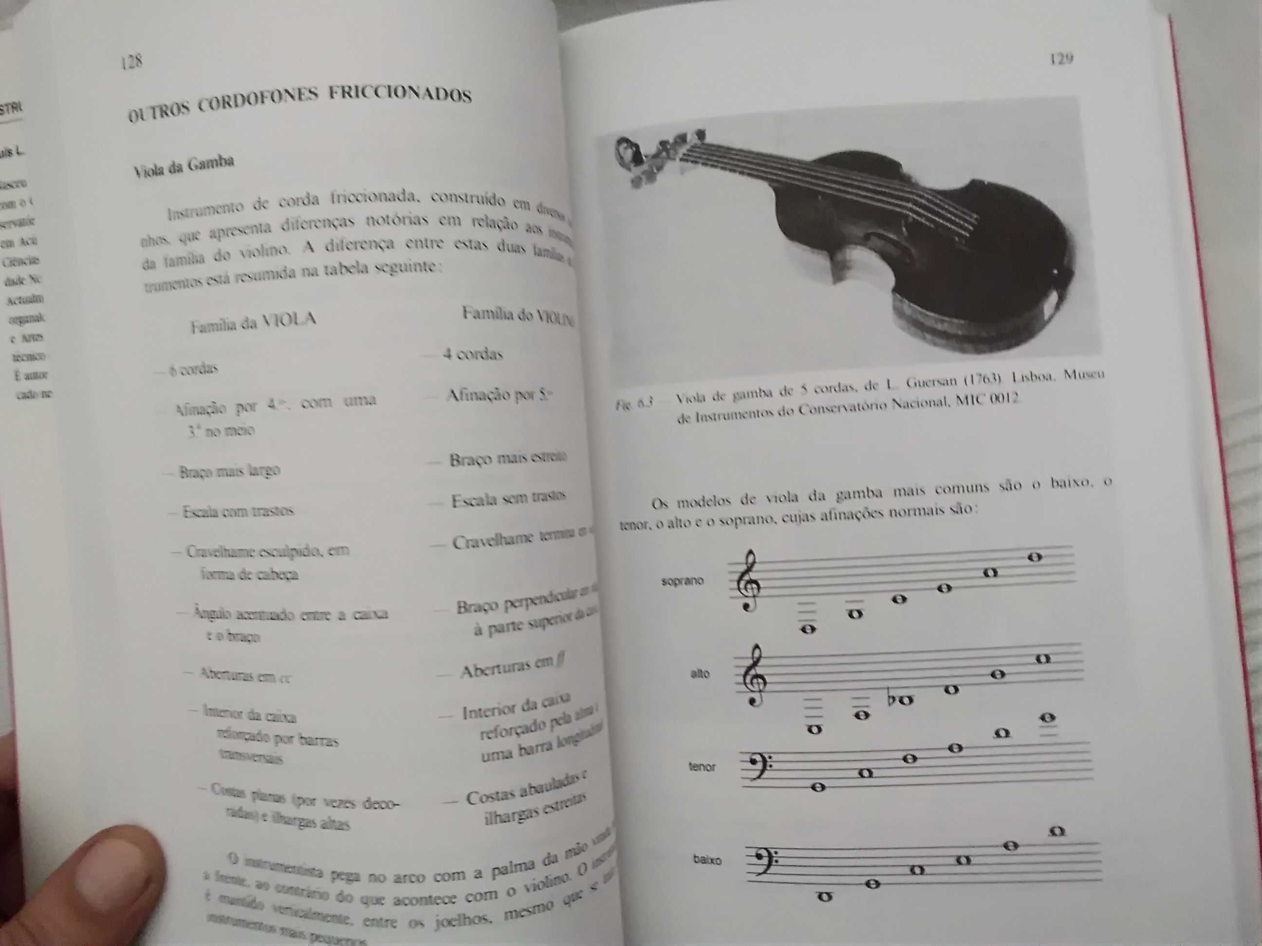 Livro Instrumentos Musicais