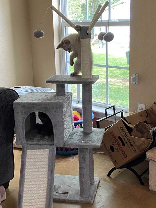 Drapak legowisko domek wysoki dla kota słupek do drapania NOWY 118 cm