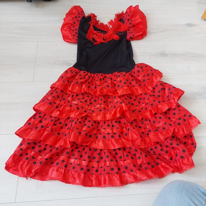 Strój bał przebierańców biedronka sukienka