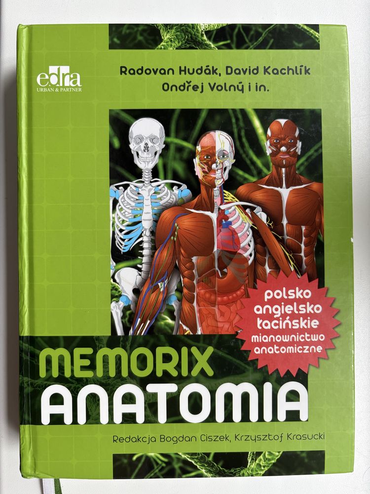 Memorix anatomia