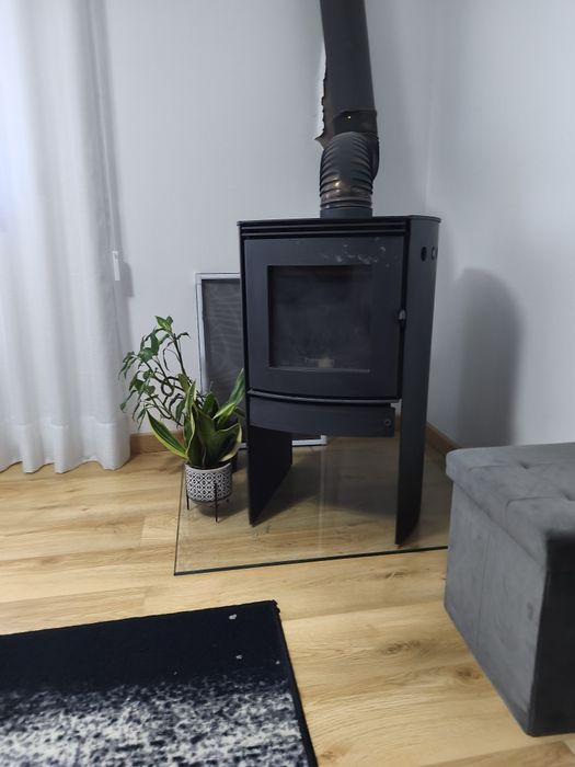 Salamandra em bom estado