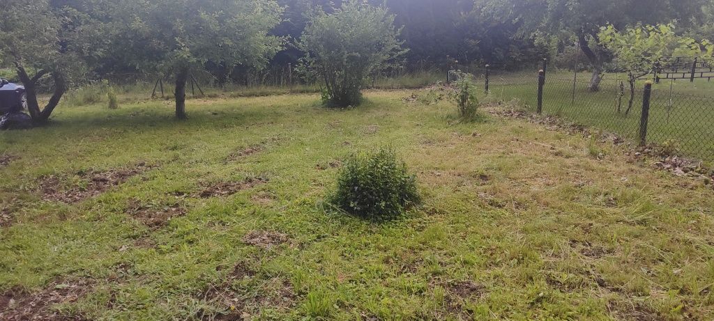 Działka ROD Juszkowo 2 - sprzedam prawa do działki.