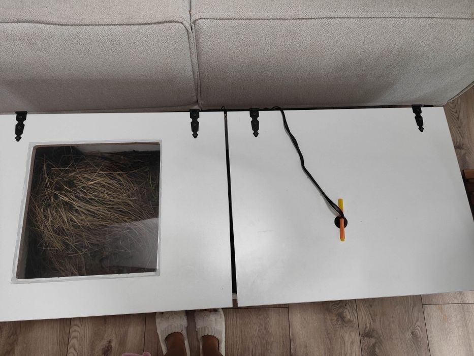 Terrarium dla jaszczurek, żółwi, gekonów