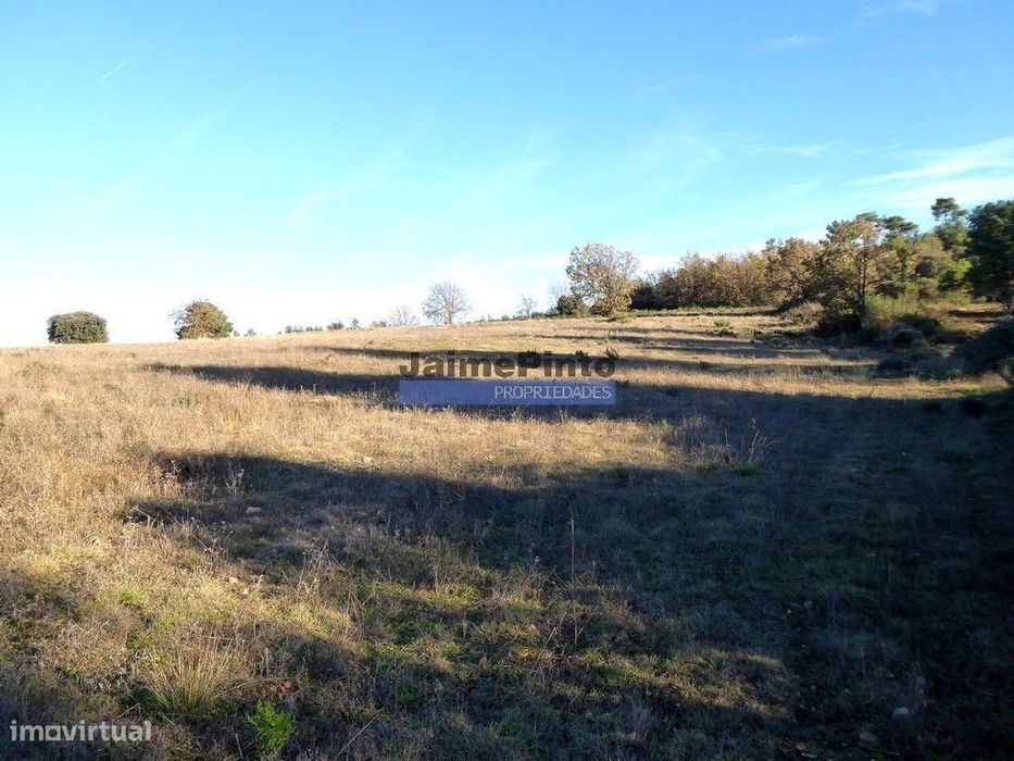 163.000m2 terra p/ plantações novas. Portugal, Douro Interior, F. C...