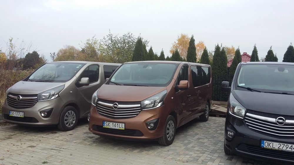 Wynajem busów 9-osobowych-automaty z 2025 roku. Dowóz na i z lotniska.