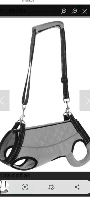 Бандаж для собак