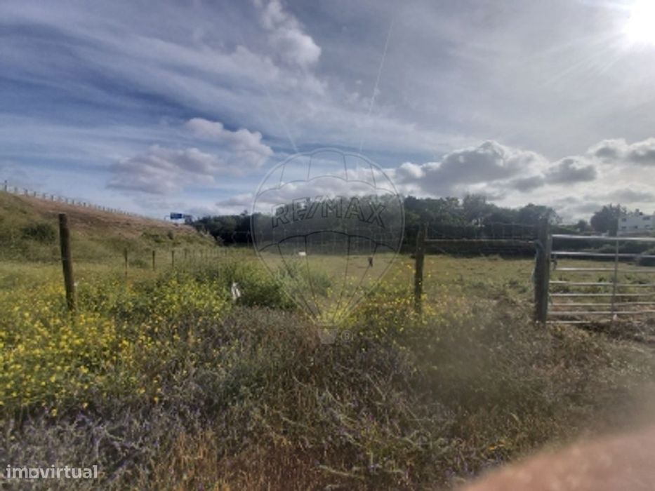 Terreno  para arrendamento