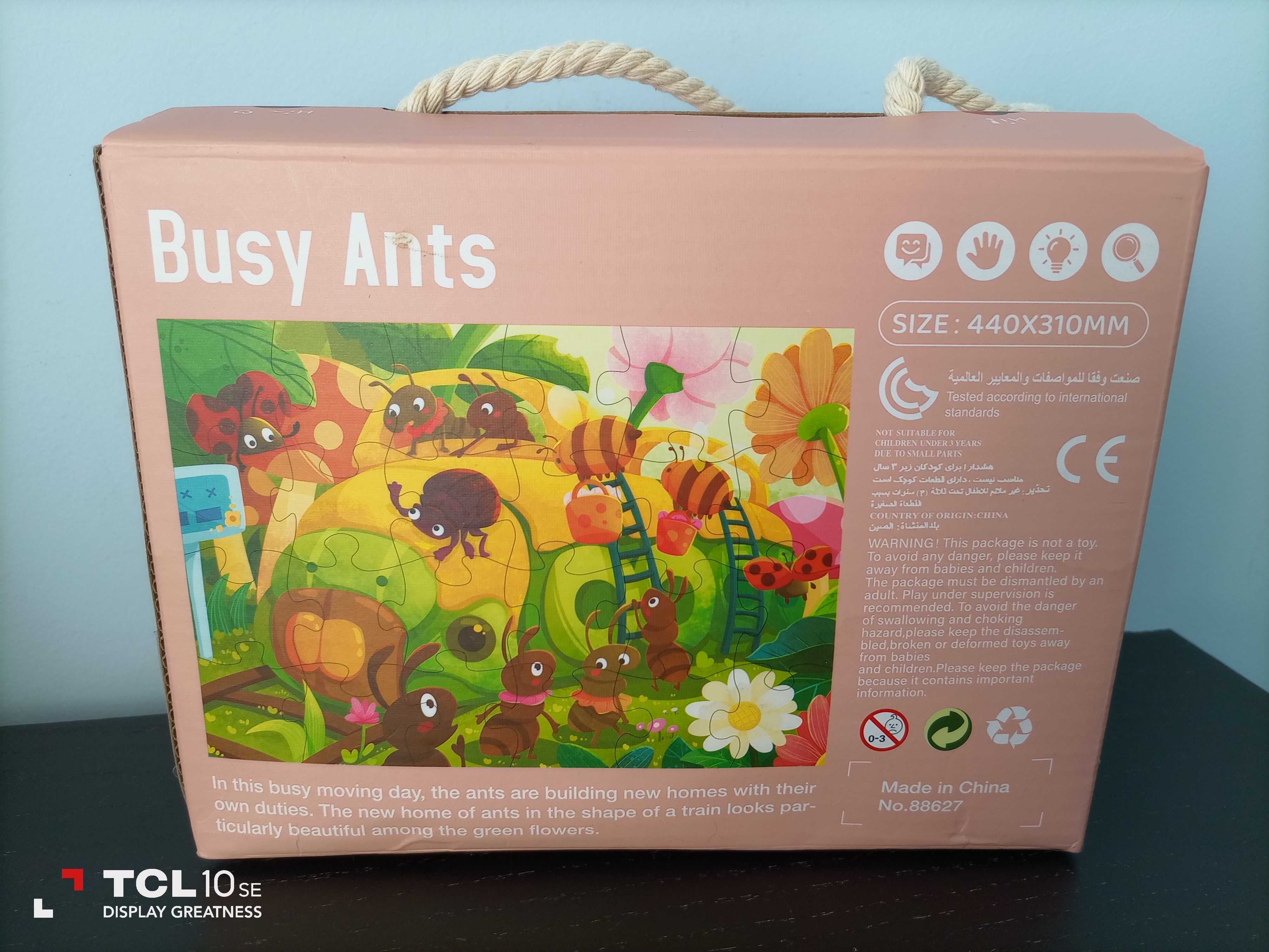 Puzzle busy ants