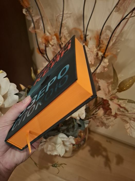 Озеро спокою. Книга. Рейчел Кейн.