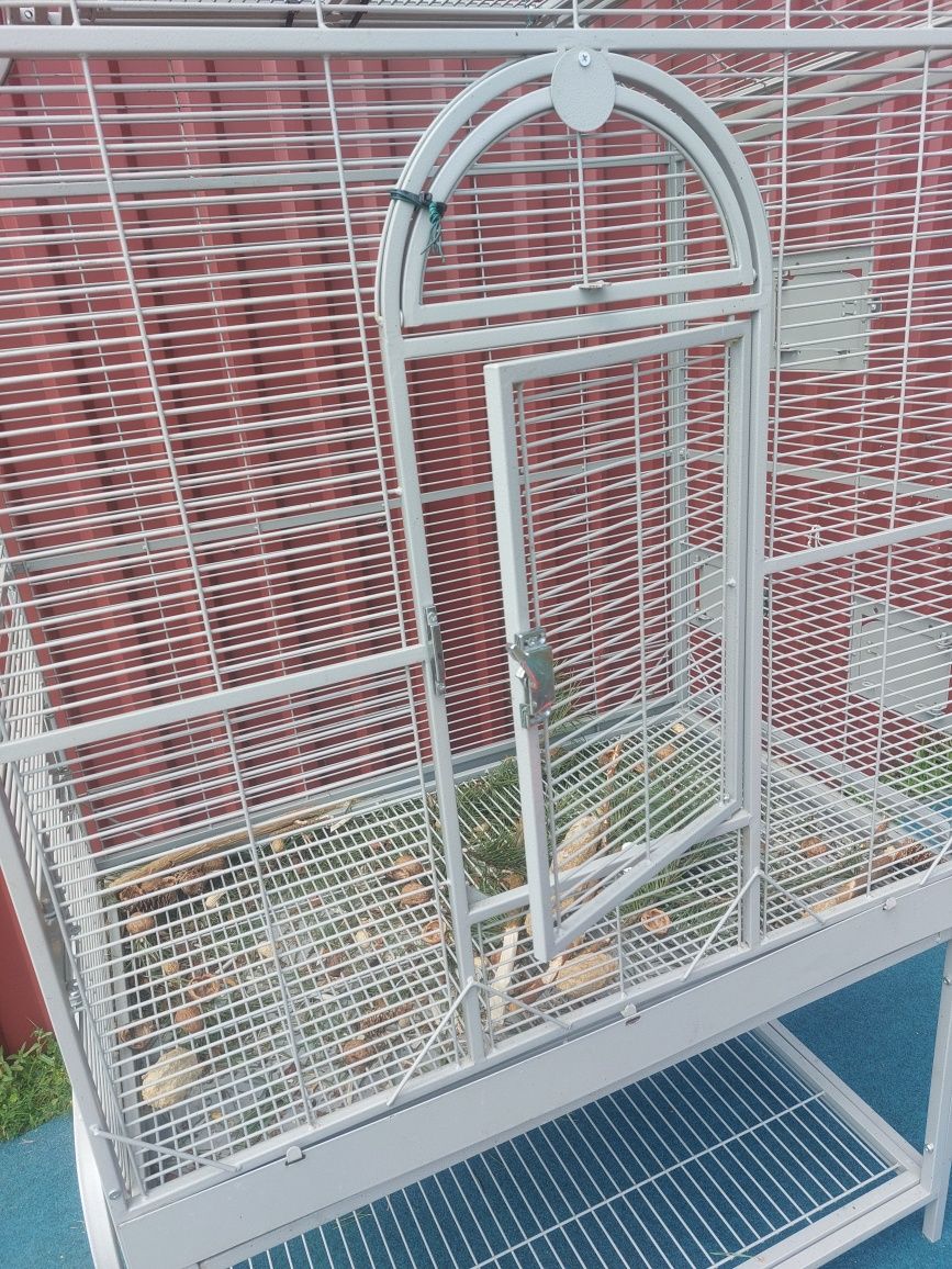 Woilera, klatka  dla papug , wiewiórki.