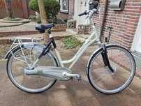 Rower damski Gazelle Hanta