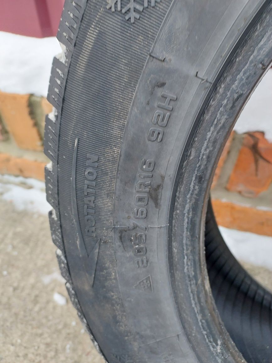 Зимова шина Torque TQ 023 205/60/R16