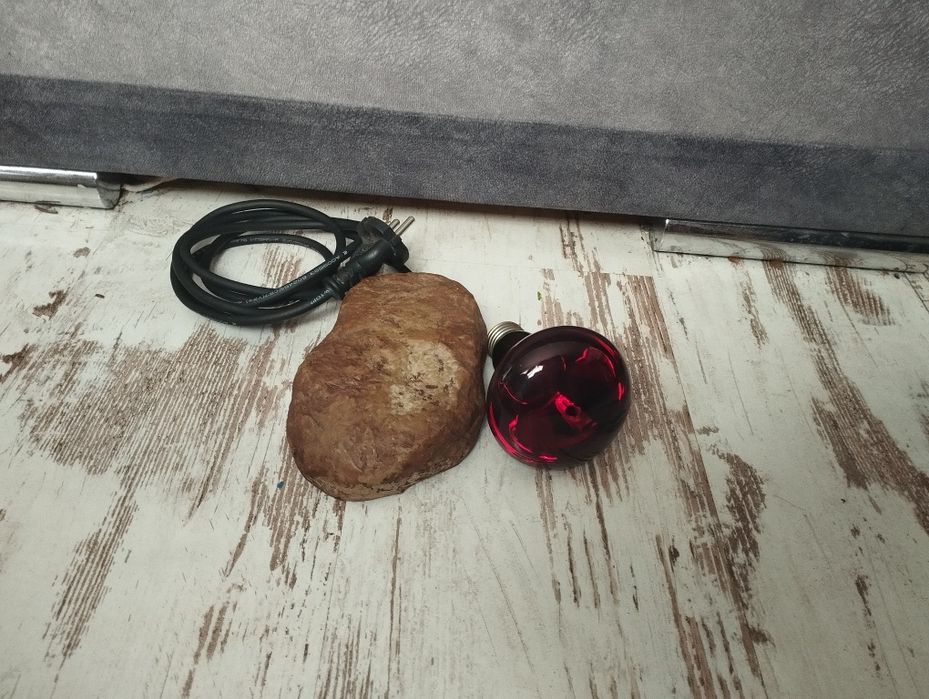 Akcesoria do terarium