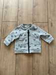 Bluza w rozniarze 62 marki Coccodrillo
