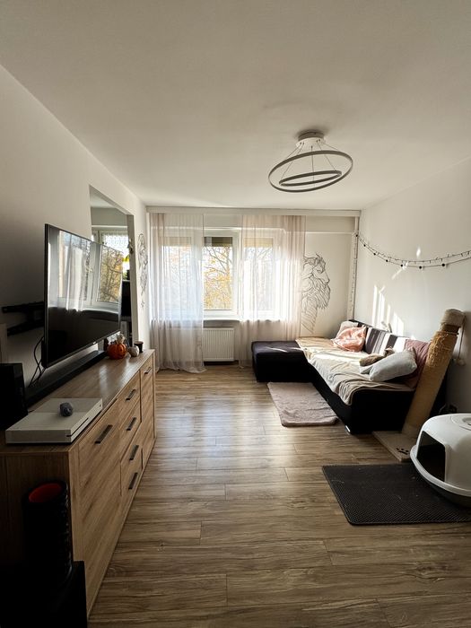 Jasne, przytulne mieszkanie rataje, pet friendly