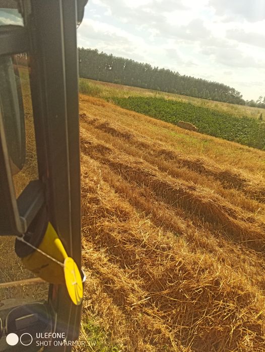 Продам солому пшеничну тюки