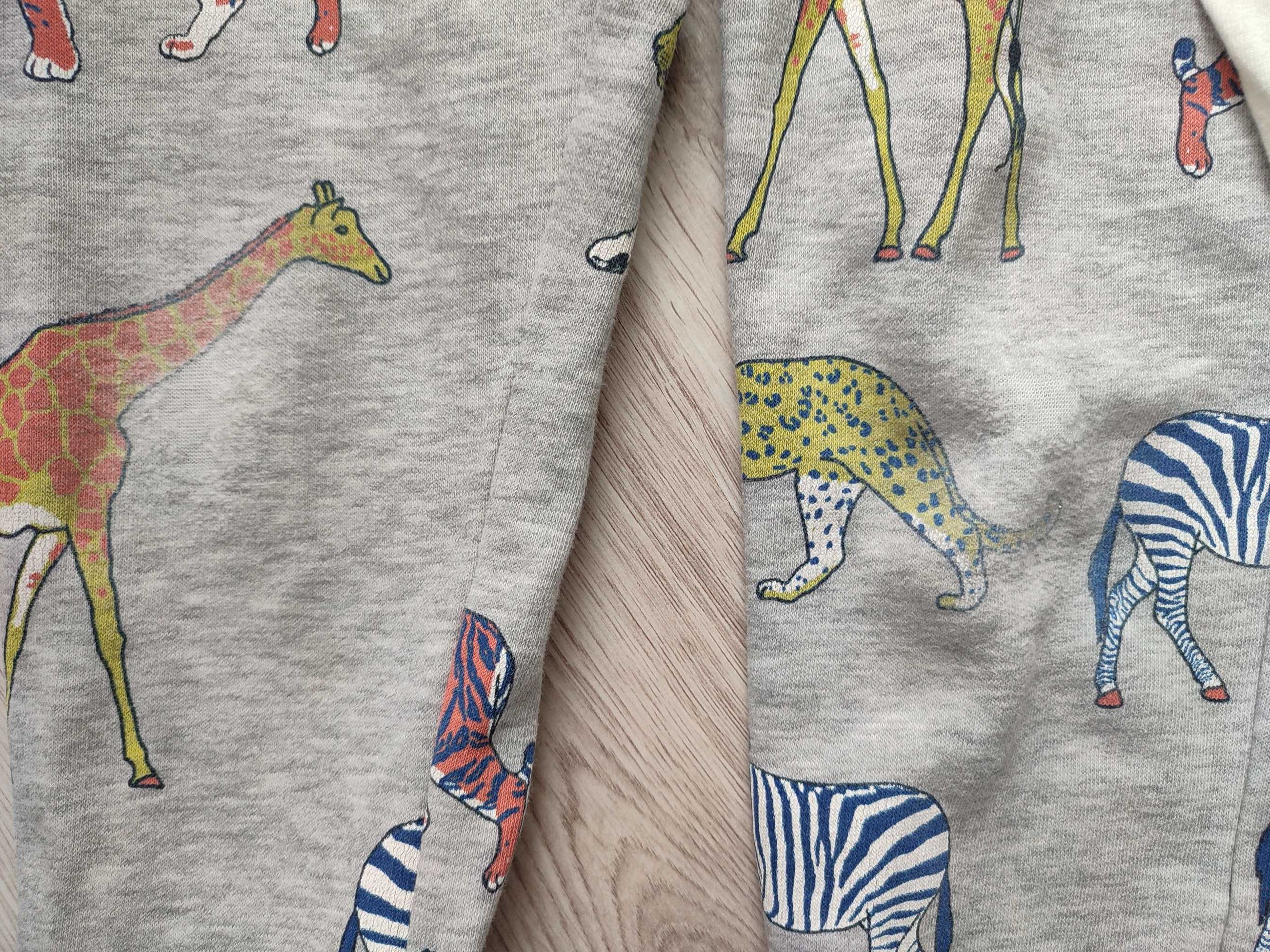 Bluza ala dinozaur, roz. 104, next