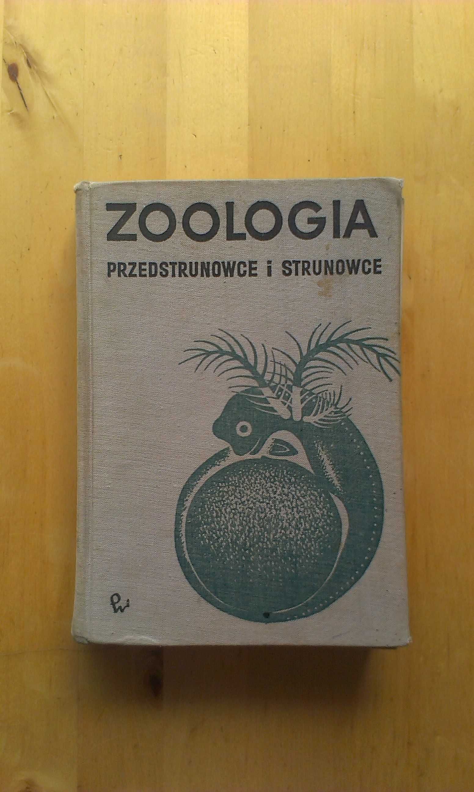 Zoologia. Przedstrunowce i strunowce. 1969