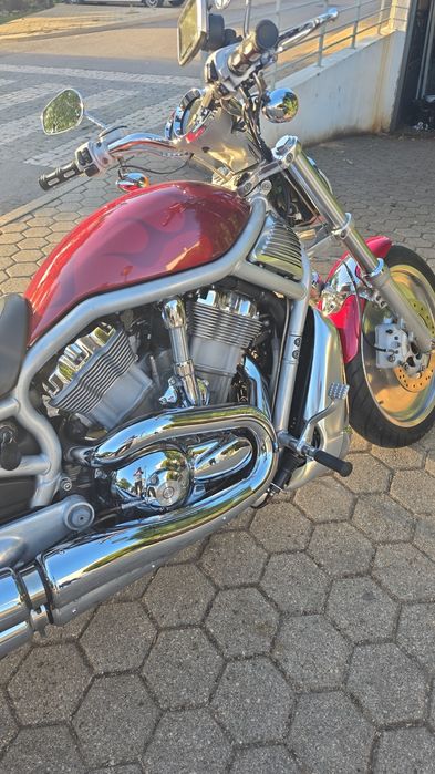 Harley davidson vrsca 1200cc
