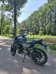 Senke leopard 250