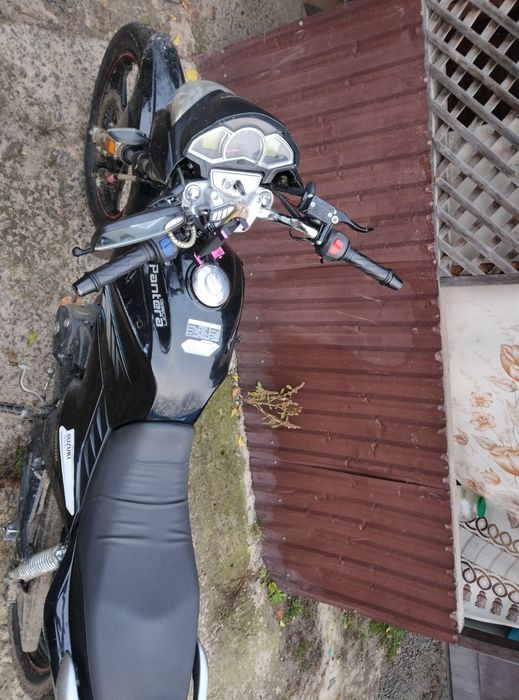 Геон пантера CBF 200