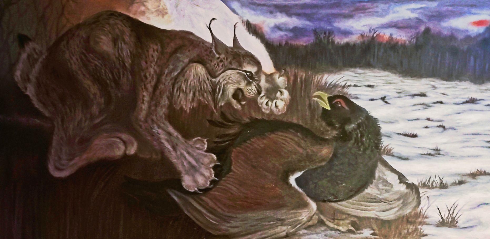 Obraz 120x60 cm Ryś i Głuszec