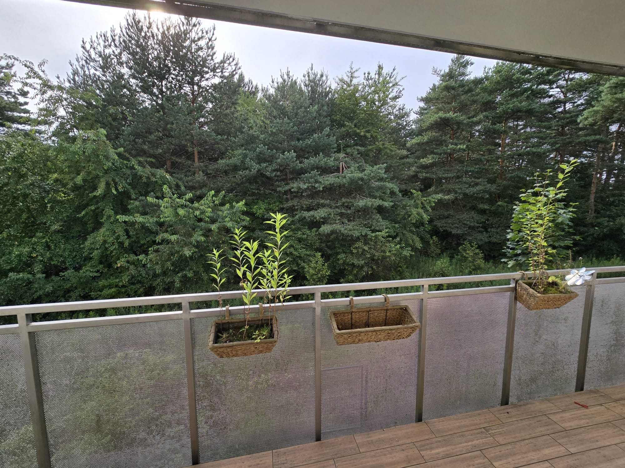 Apartament z widokiem na LAS - Ligota od 15.08