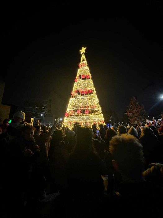 Aluguer de Arvore de Natal