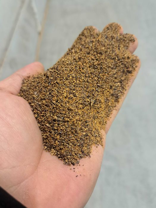 Śruta Rzepakowa bez GMO Wysyłka cały kraj!!!