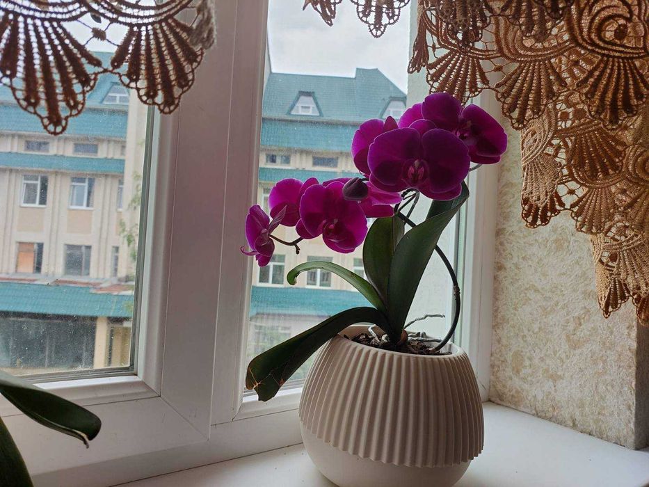 Садиба "Маковиця". Проживання. Центр міста, 3 хв пішки від жд вокзалу