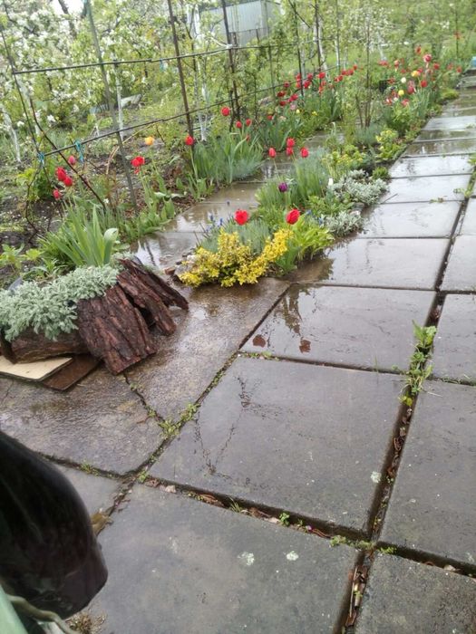 Дача , участок