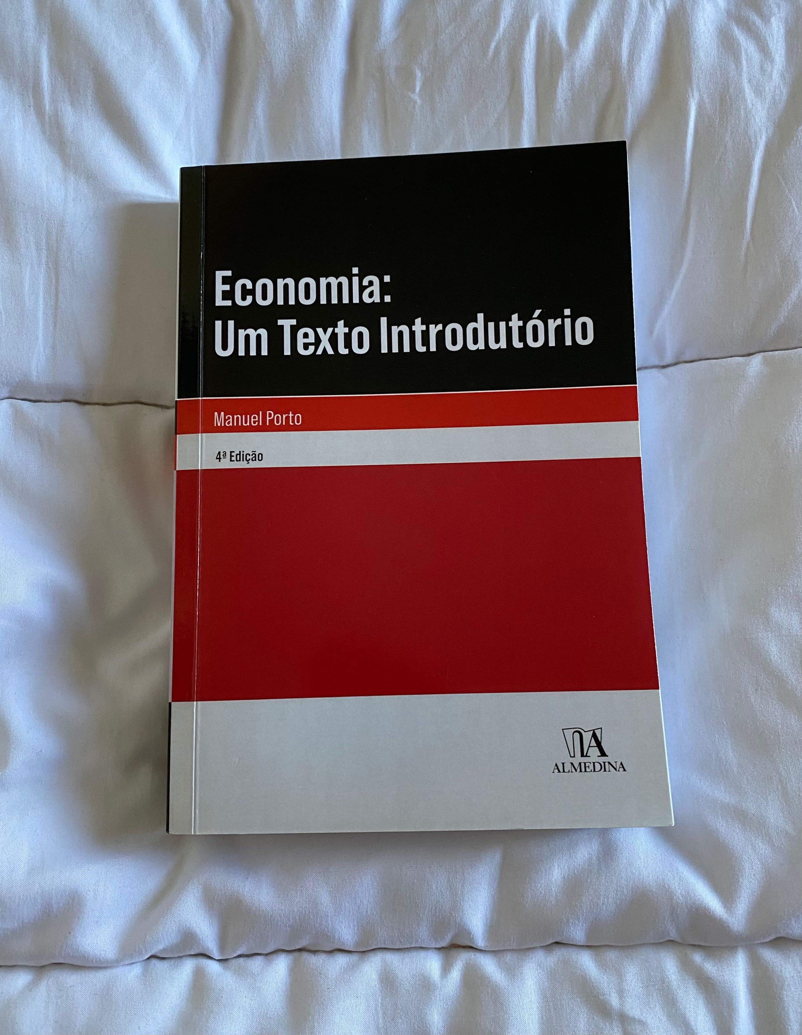 Economia: um texto introdutório