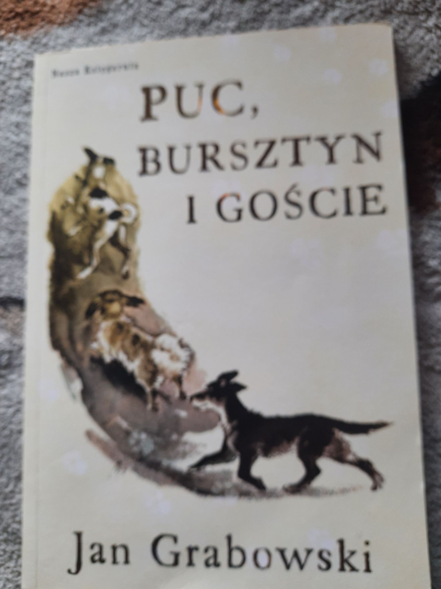 Puc,Bursztyn i Goście-lektura