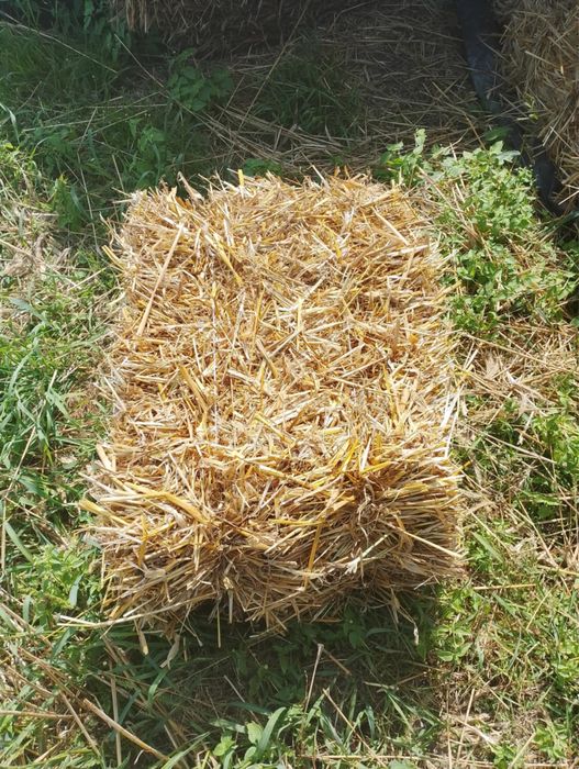 Sprzedam kostki słomy