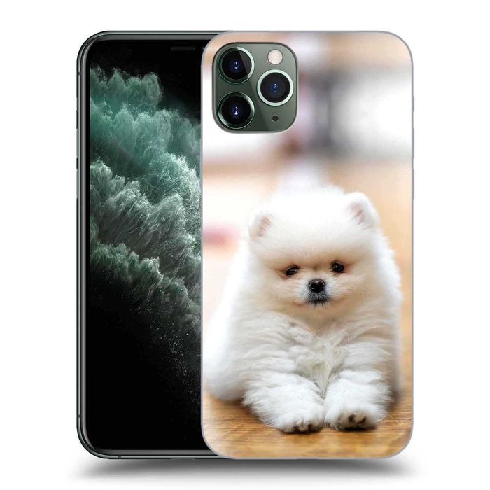 Etui z Twoim pupilem szpic